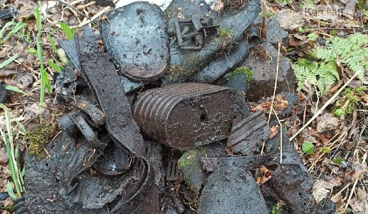 Фото: https://vk.com/phoenix_poisk Фото: https://vk.com/phoenix_poisk